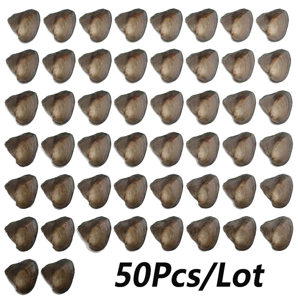50PCs/Lot Vacuum Pack Oyster Wish Pearl about 7-8mm Freshwater Pearl Oyster DIY Jewelry Accessories Gift High-quality Pearl Bead