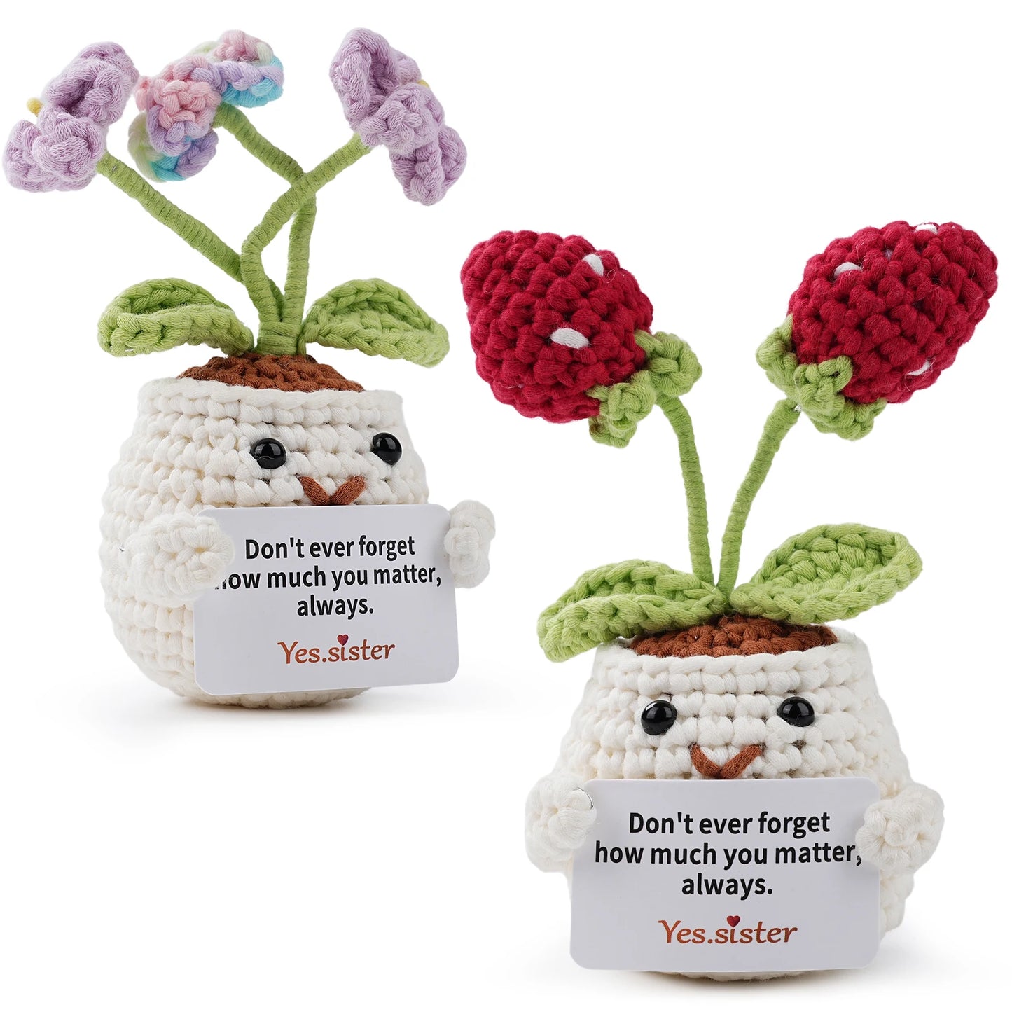 Beginner Crochet Kit Amigurumi Set With Step by Step Tutorials