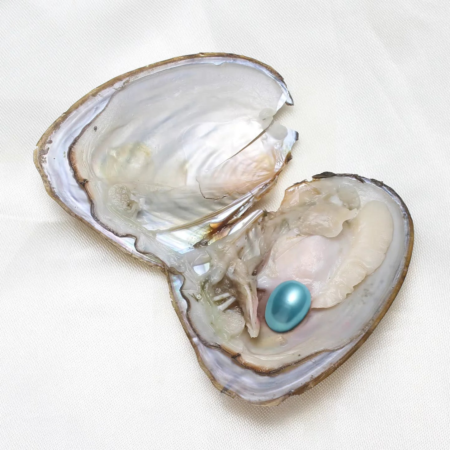 50PCs/Lot Vacuum Pack Oyster Wish Pearl about 7-8mm Freshwater Pearl Oyster DIY Jewelry Accessories Gift High-quality Pearl Bead